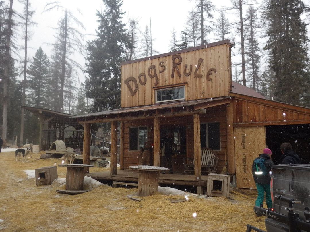 Dog Sled Adventures-Olney必去景点