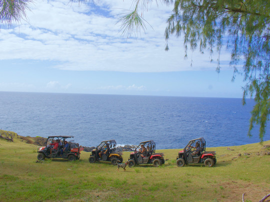 All About The View-夏威夷大岛必去景点