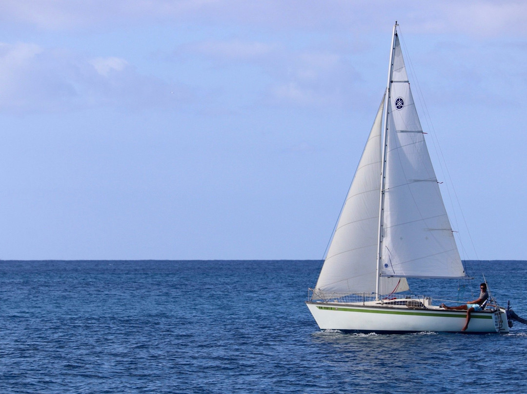 Moana Sailing Charters