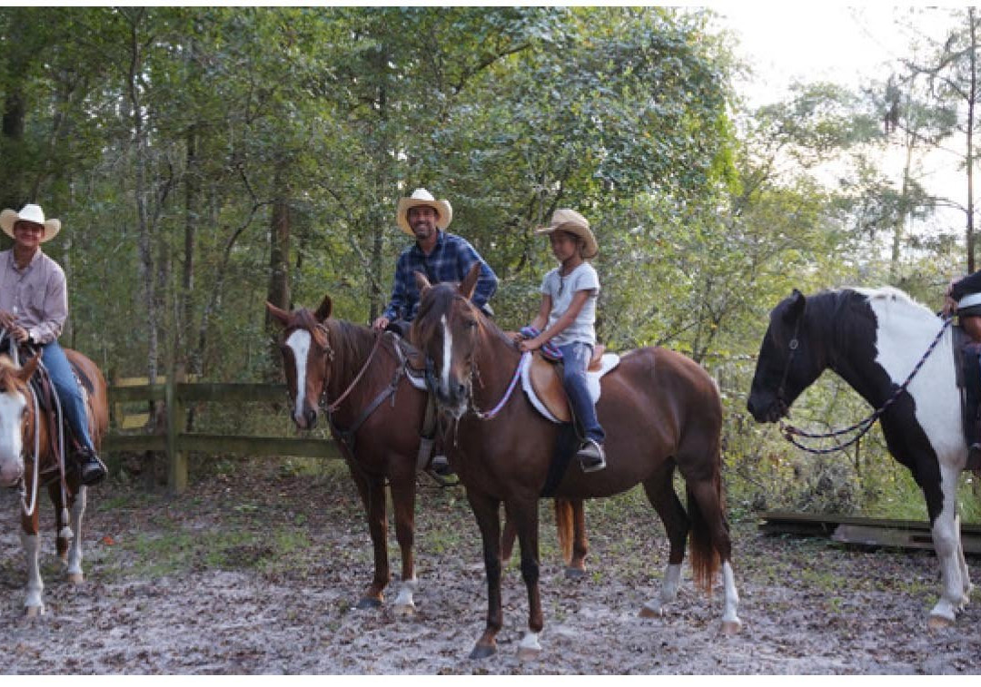 Dragonfly Ranch-Live Oak必去景点