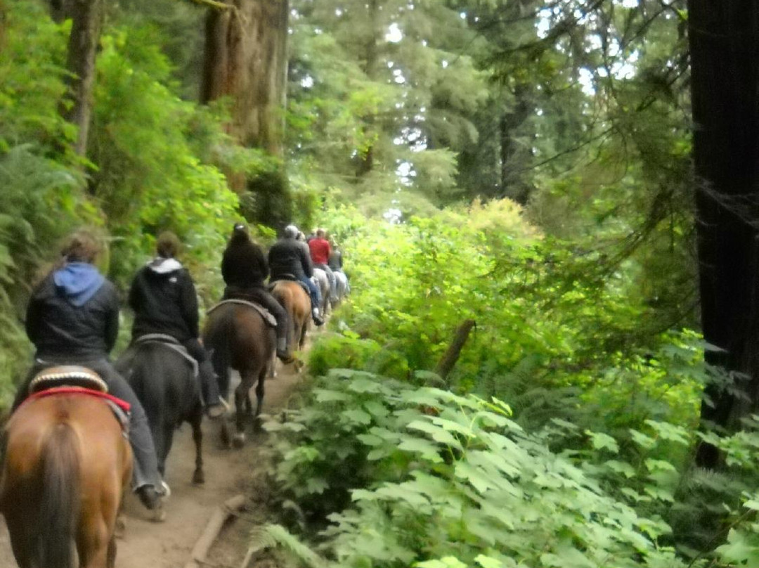 Redwood Creek Buckarettes-Orick必去景点