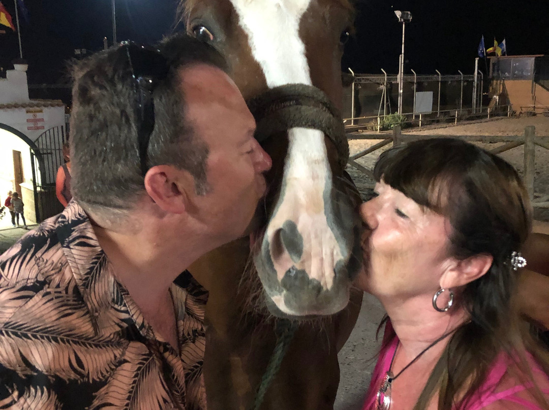 Gladiux-圣克鲁斯-德特内里费必去景点