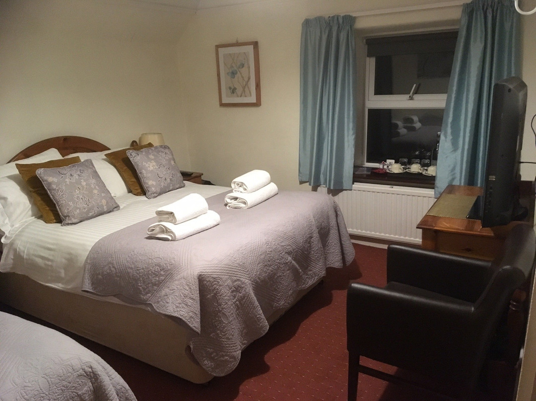Bryn Eisteddfod Country House主图