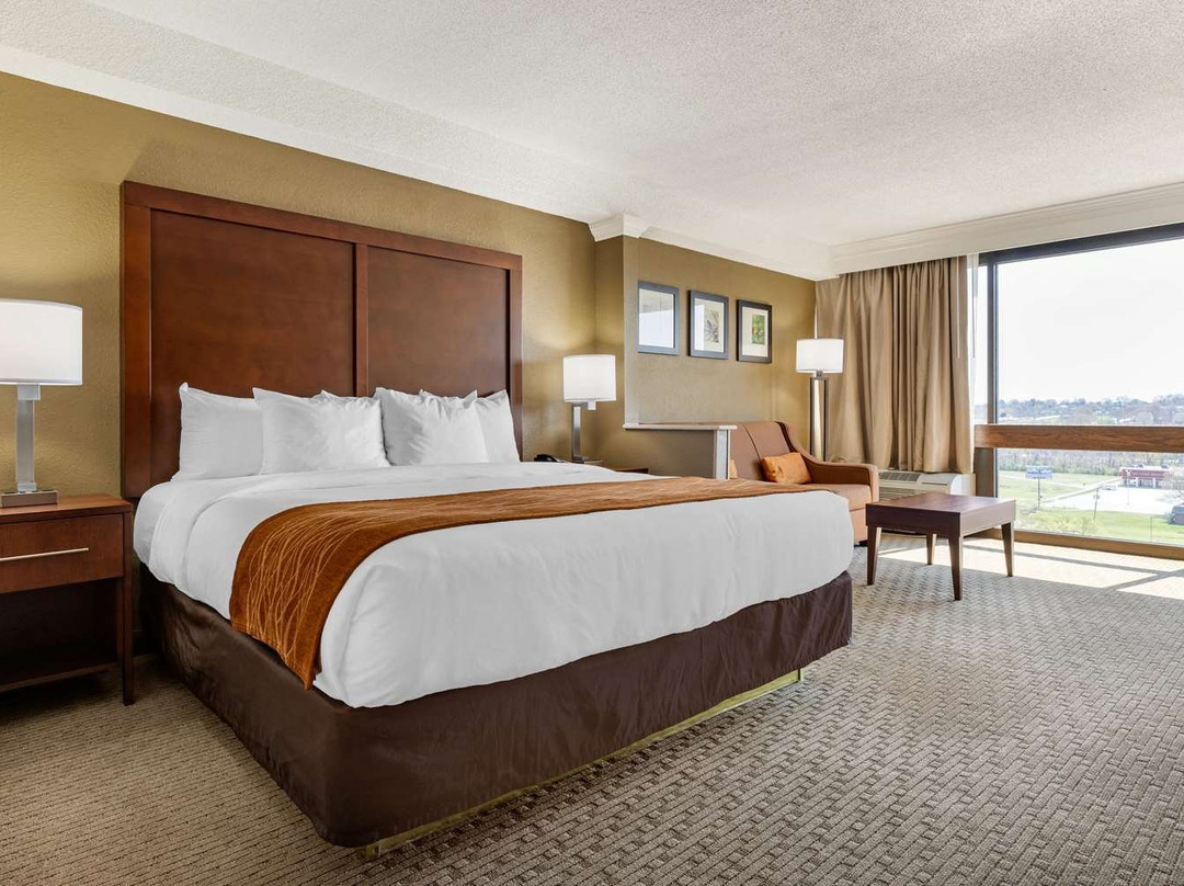 Comfort Inn & Suites主图