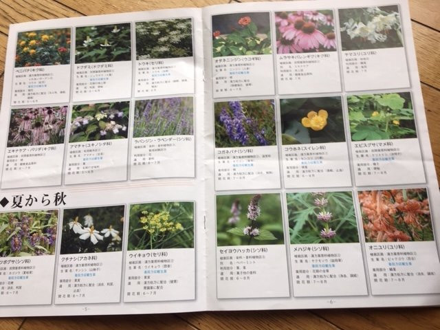 Tokyo Medicobotanical Garden-小平市必去景点