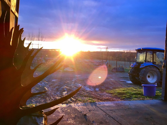 Sunderland Ranch-帕尔默必去景点