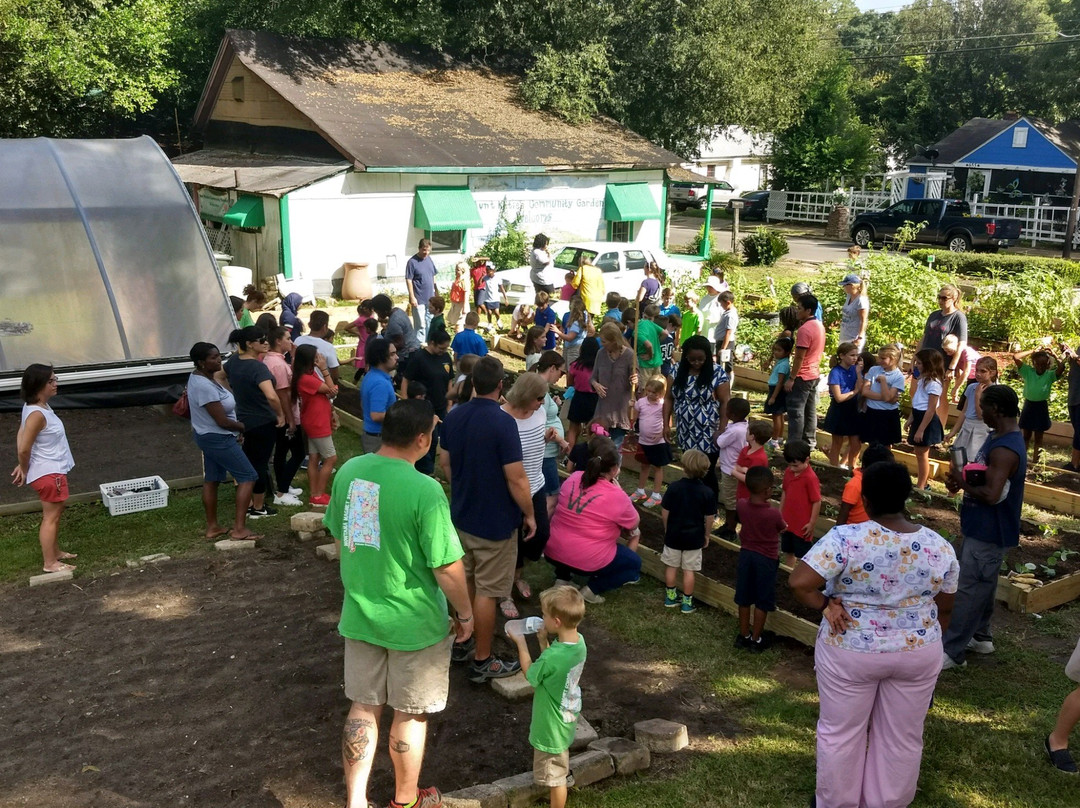 Aunt Katie's Community Garden景点图片