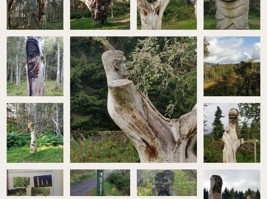 Frank Bruce Sculpture Trail景点图片