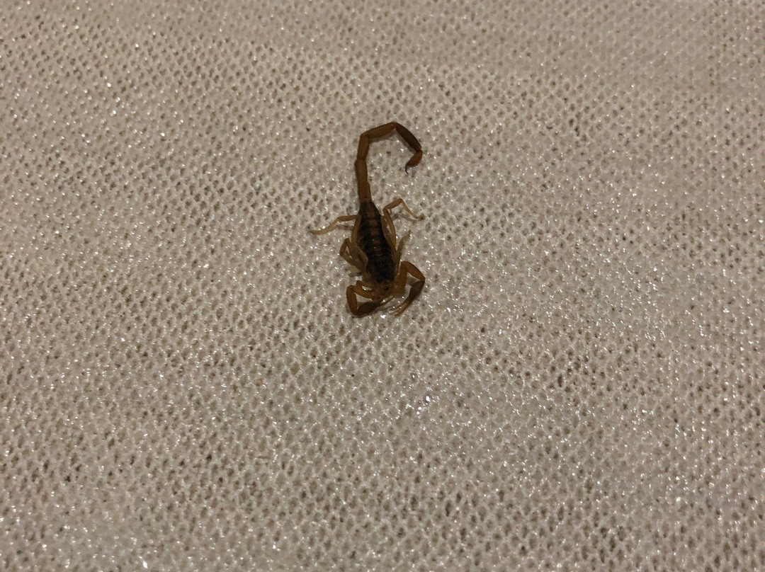 Holiday Inn Express & Suites Oklahoma City North By IHG主图