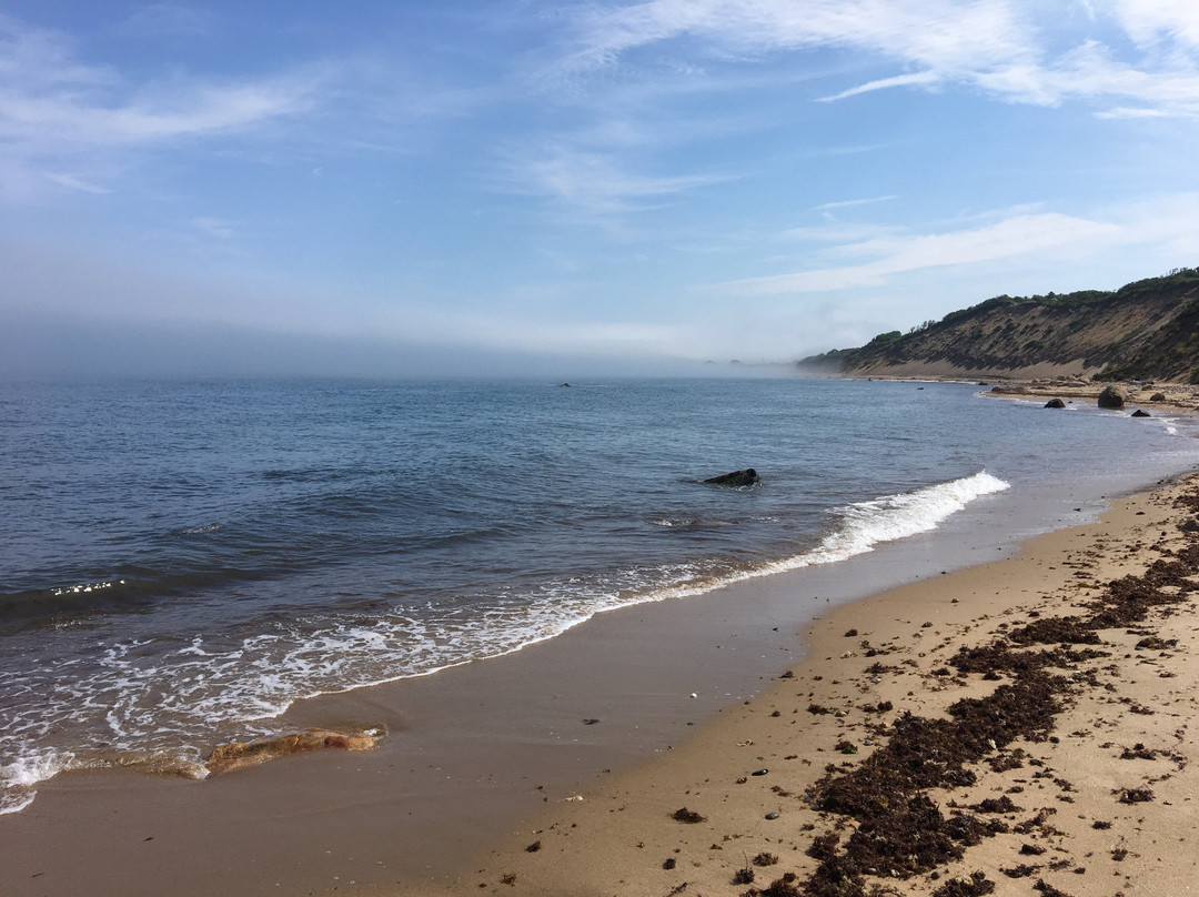 Grace's Cove-新肖勒姆必去景点