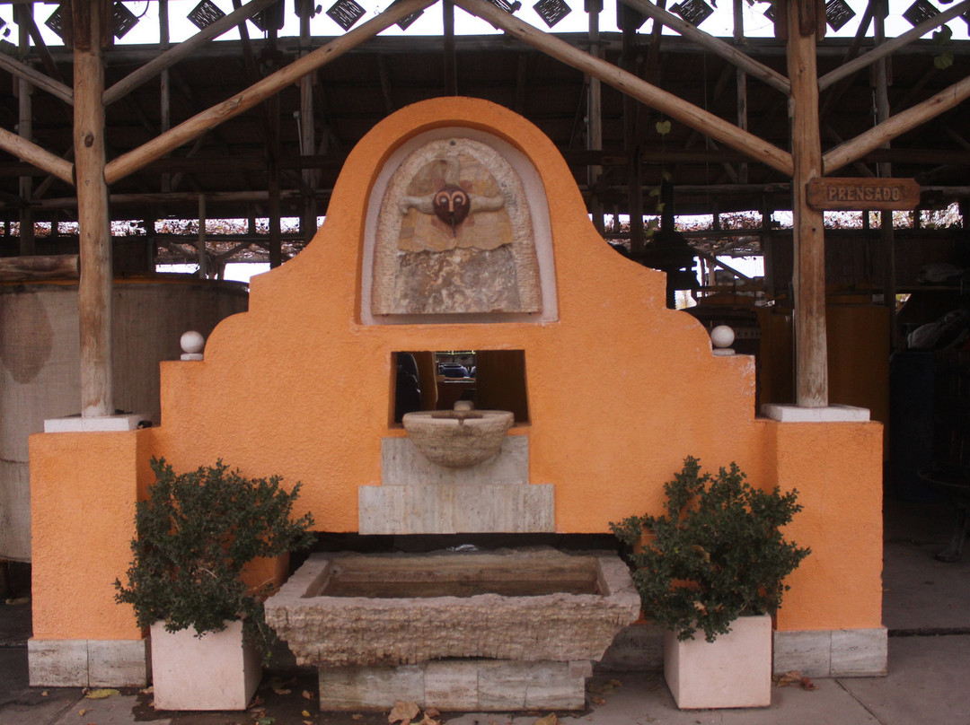Casa Vinicola El Milagro景点图片
