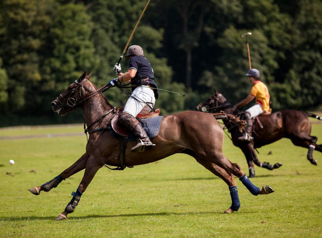 Argentina Polo Academy景点图片