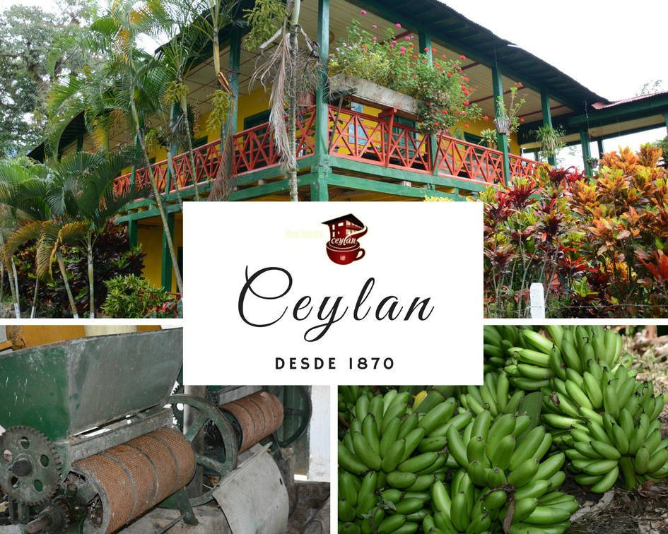 Cafe Hacienda Ceylan景点图片