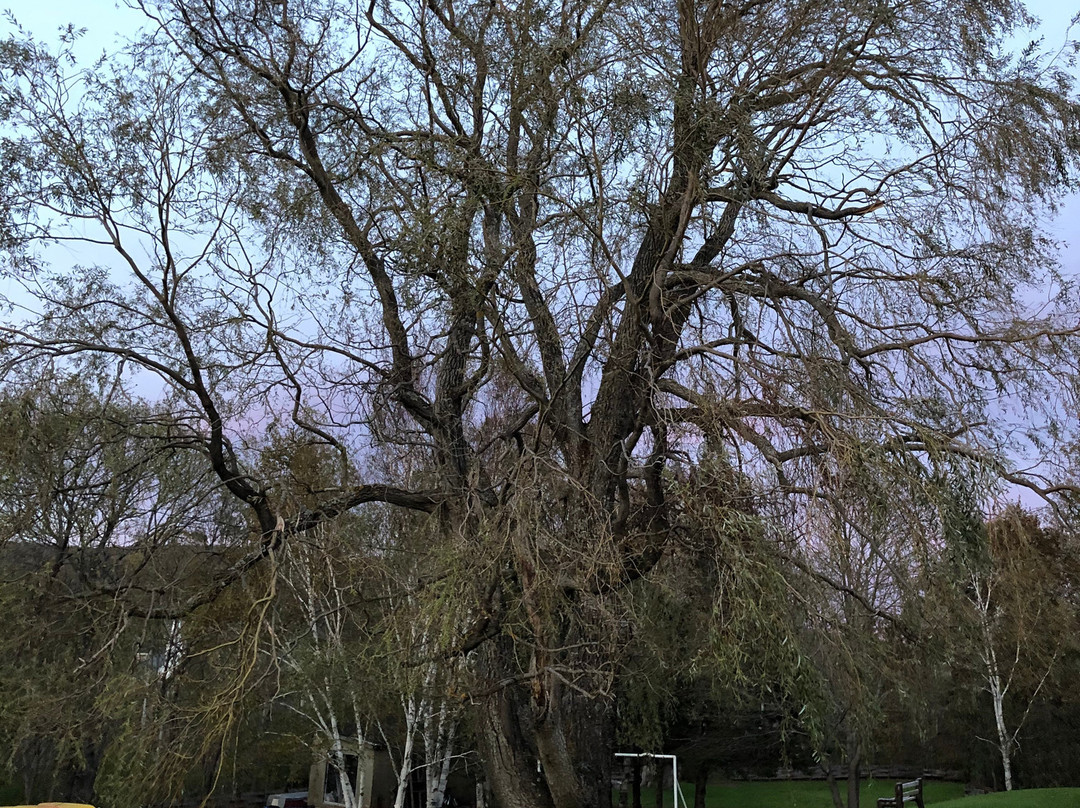 Mabou River Inn主图