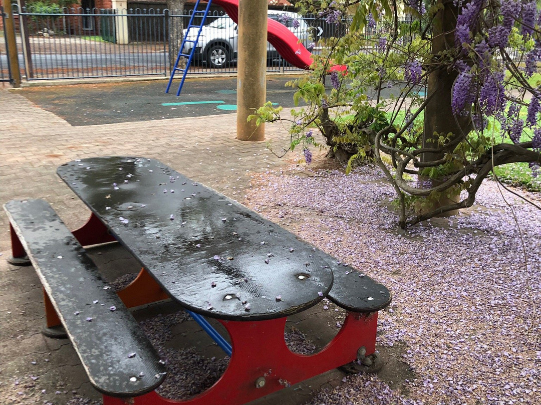 Princess Margaret Playground-Everard Park必去景点