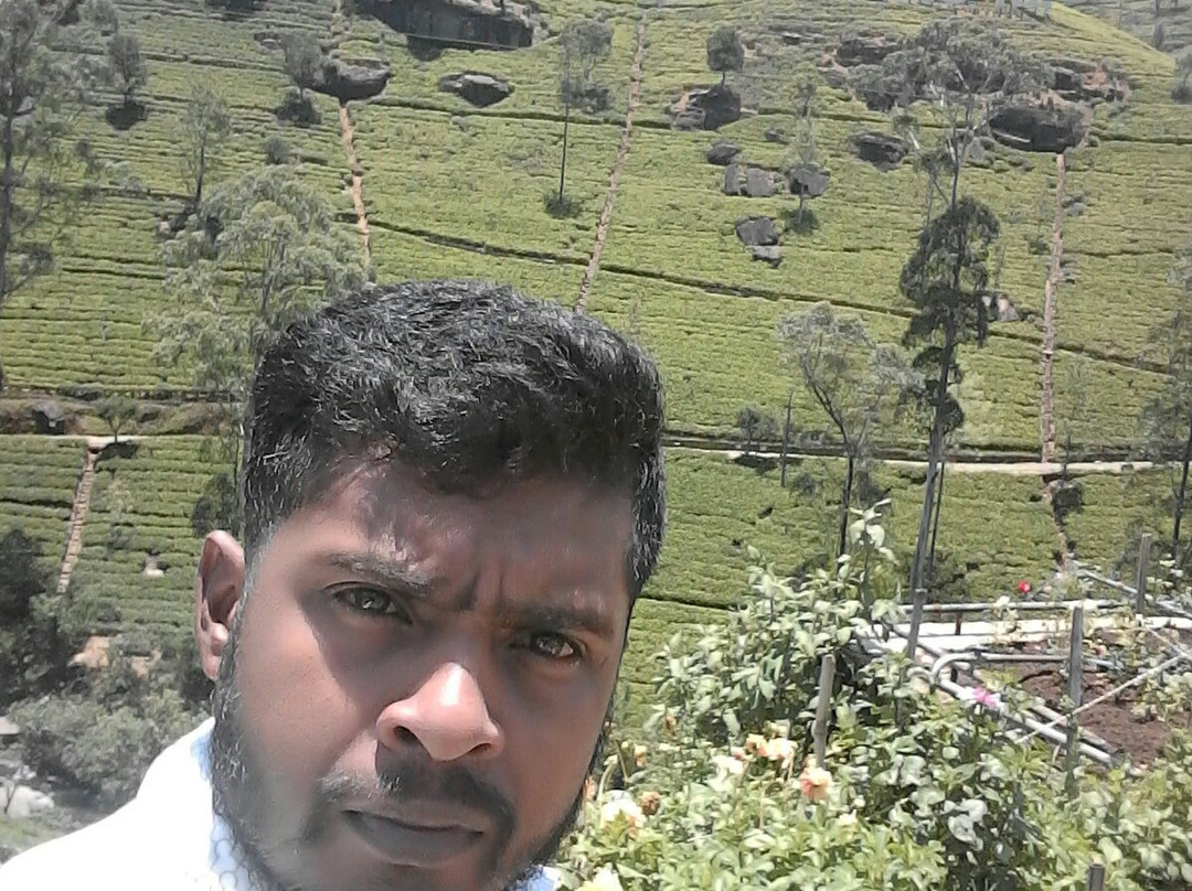 Meraki Tuk Tuk and Taxi Tours-Wellawaya必去景点