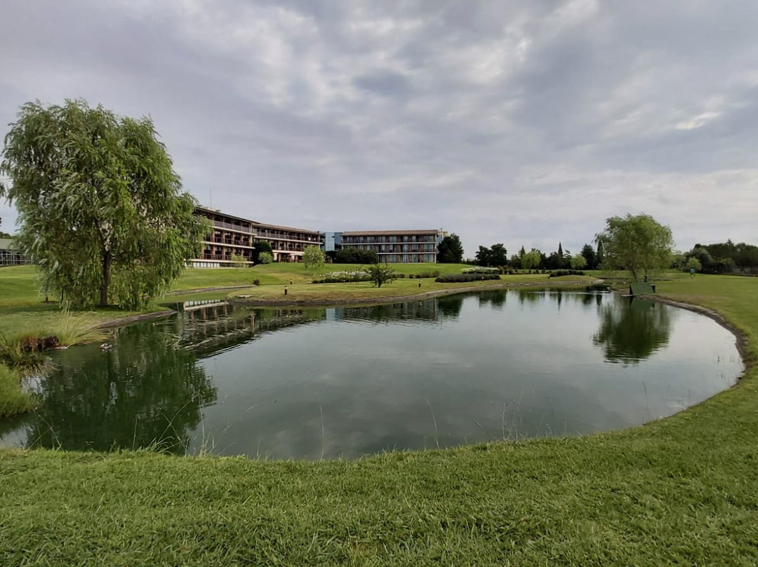 Hotel Mas Sola主图