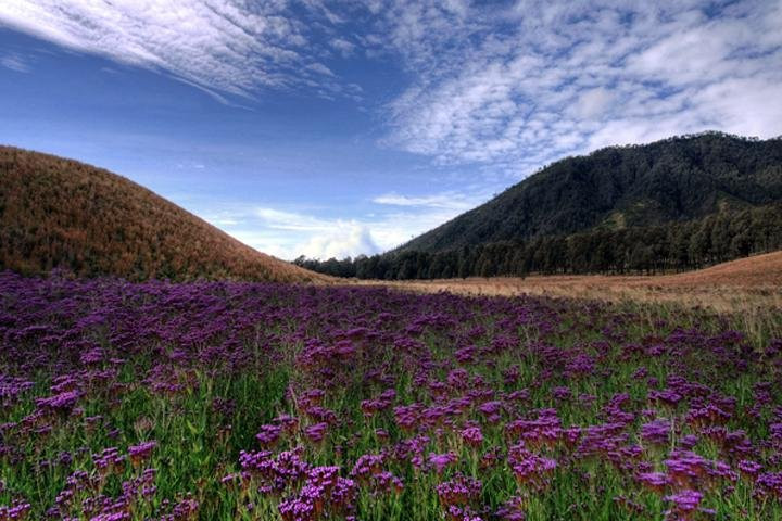 GotoBromo-庞越必去景点