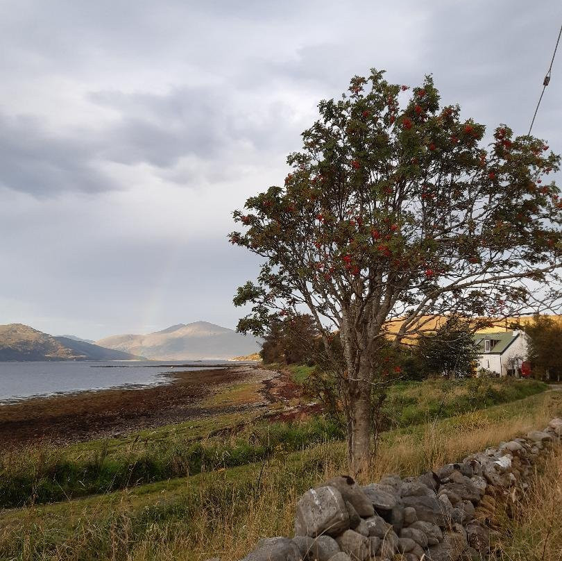 Ardelve Caravan and Camping Park主图