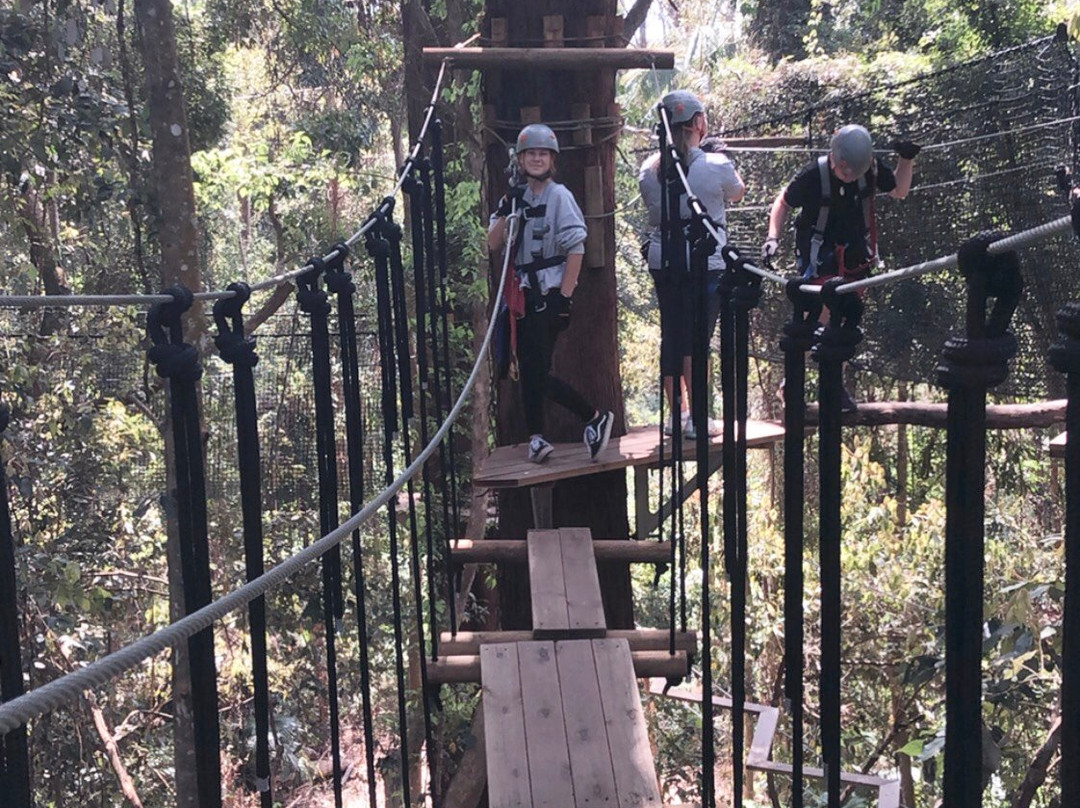 TreeTop Challenge景点图片