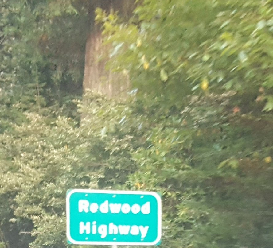 Redwood Highway-尤里卡必去景点