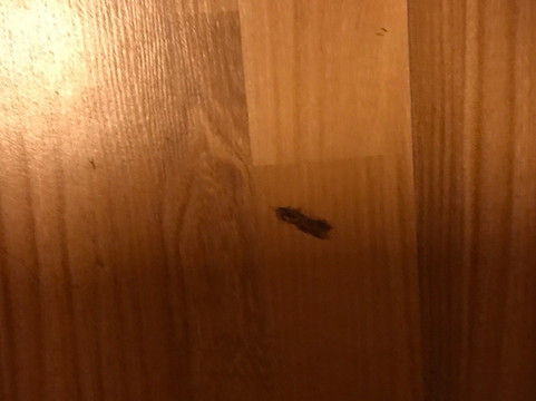 7天广州天河燕塘地铁站店主图