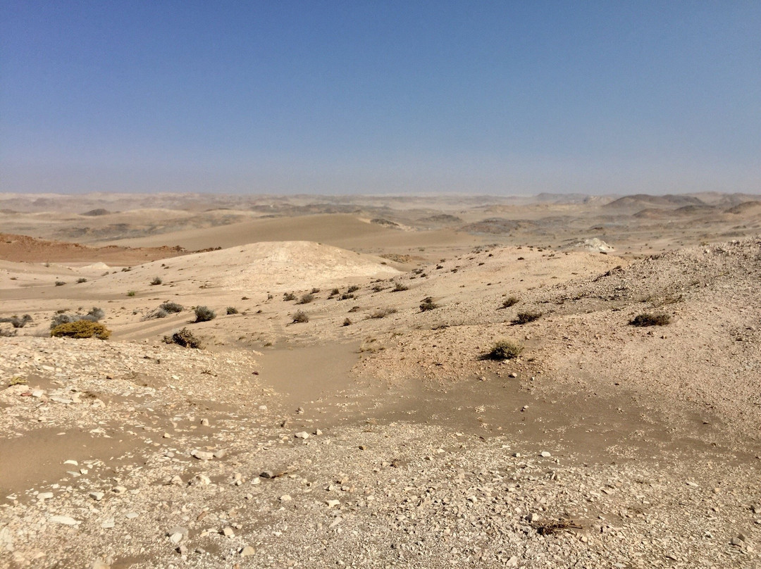 Coastways Safaris - Pomona & Bogenfels Tour-吕德里茨必去景点