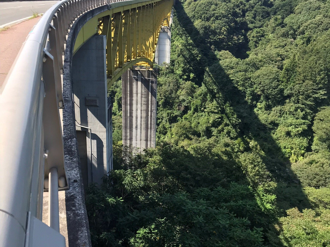 Yatsugatake Kogen Bridge景点图片