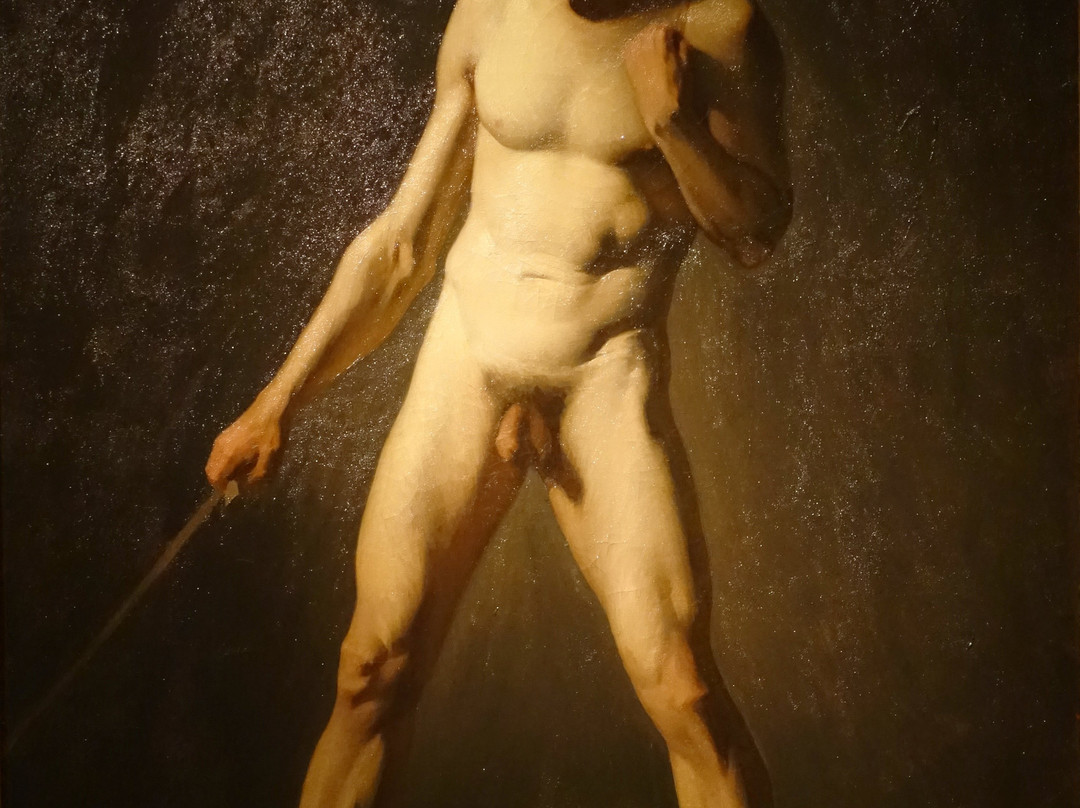 Musée Thomas Henry景点图片