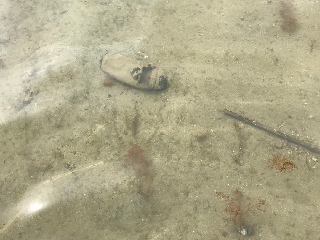 Aquamarine Kuwait Resort主图