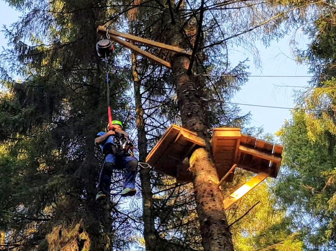 Craufurdland Tree Top Trials and Activities景点图片