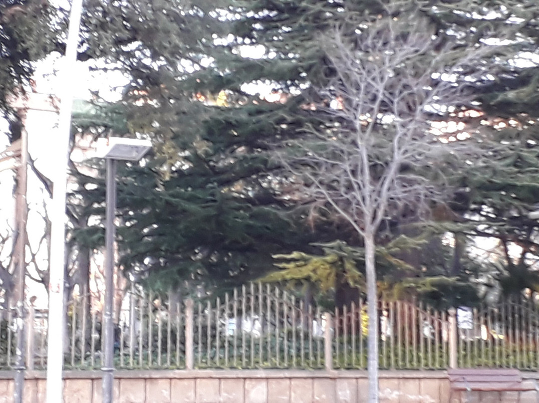 Parc Sant Jordi-雷乌斯必去景点