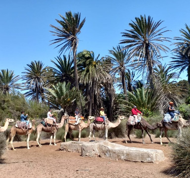 Moulay Bouzerktoun-索维拉必去景点