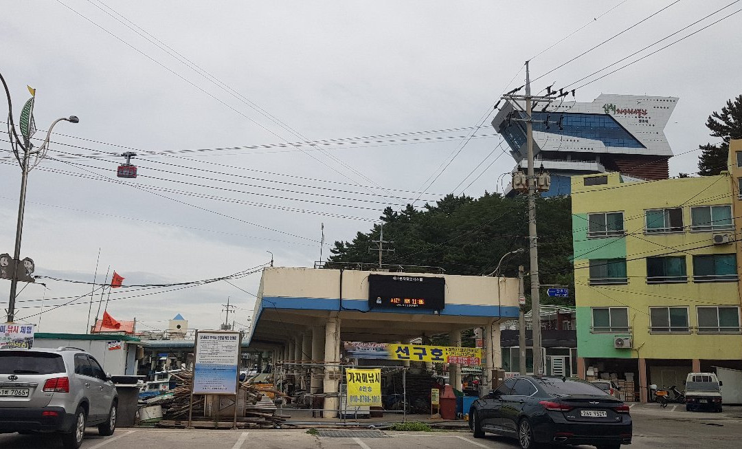 Samcheok Marine Cable Car-三陟市必去景点