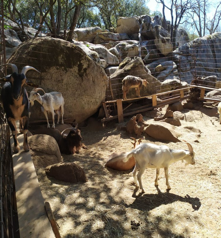 Parc Naturel D'Olva景点图片