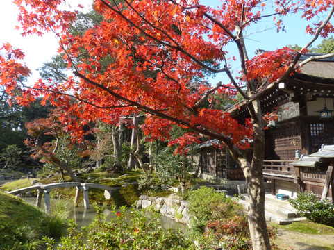 Hyozu Shrine-野洲市必去景点