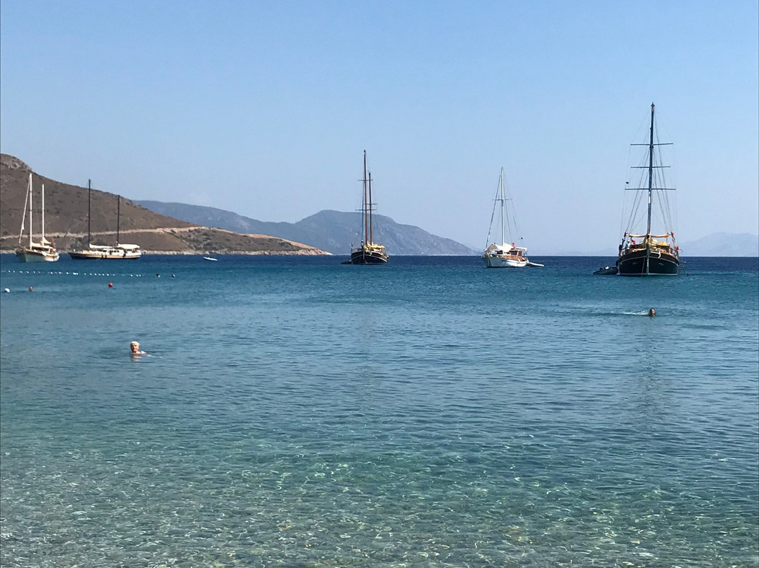 Palamutbuku Plajı景点图片