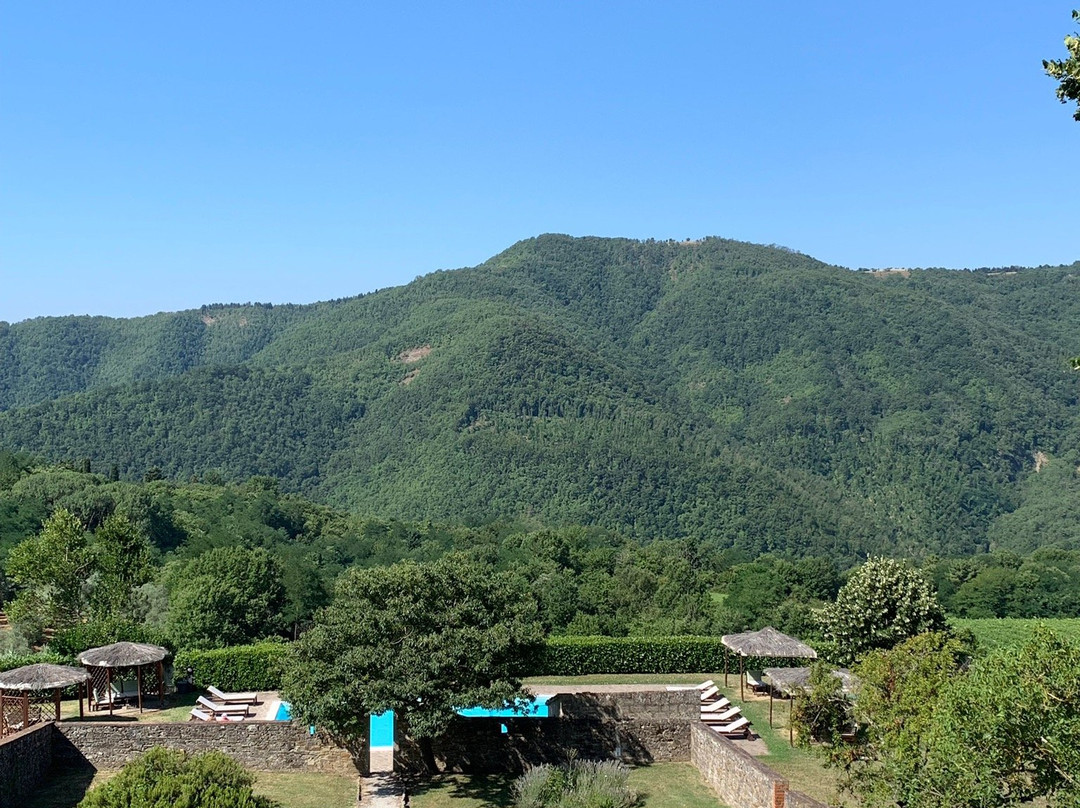 Agriturismo Colognole主图