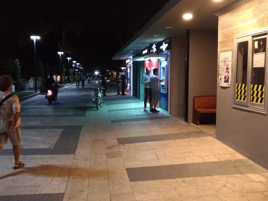 Osmaniye Kent Muzesi景点图片