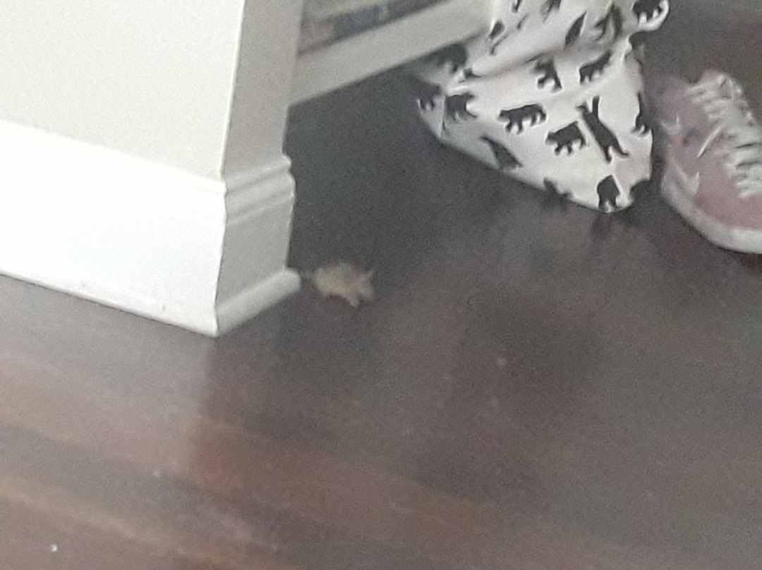 The Washington Park Inn主图