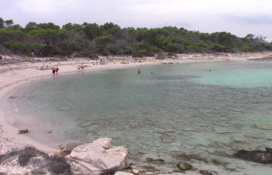 Platja Es Peregons-Campos必去景点