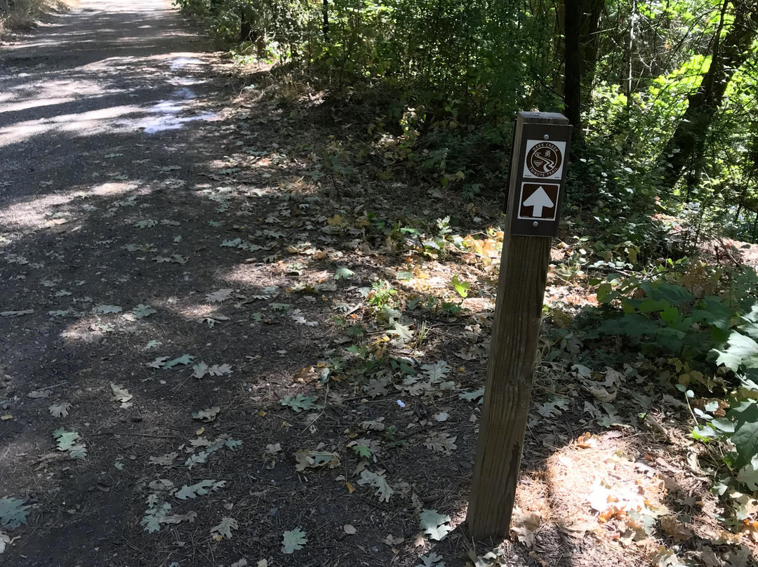 Deer Creek Tribute Trail-Nevada City必去景点