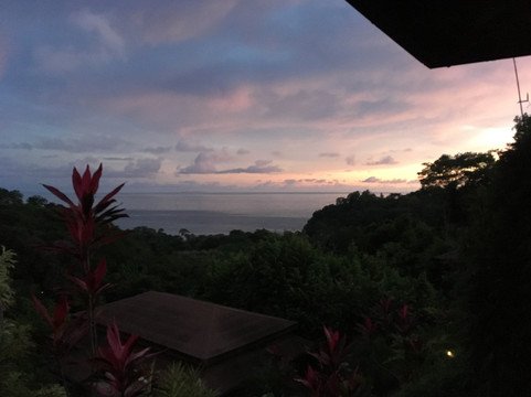 蒂基雨林别墅暨温泉旅馆主图