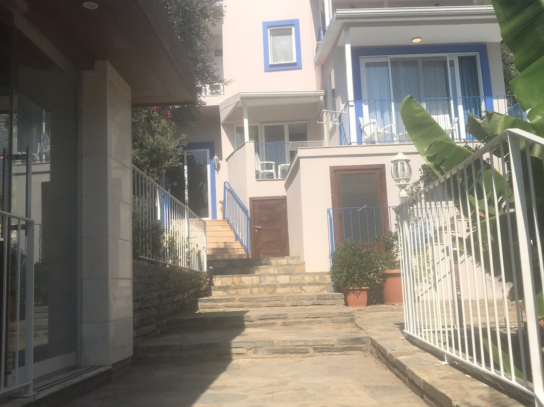Zena Hotel Bodrum主图