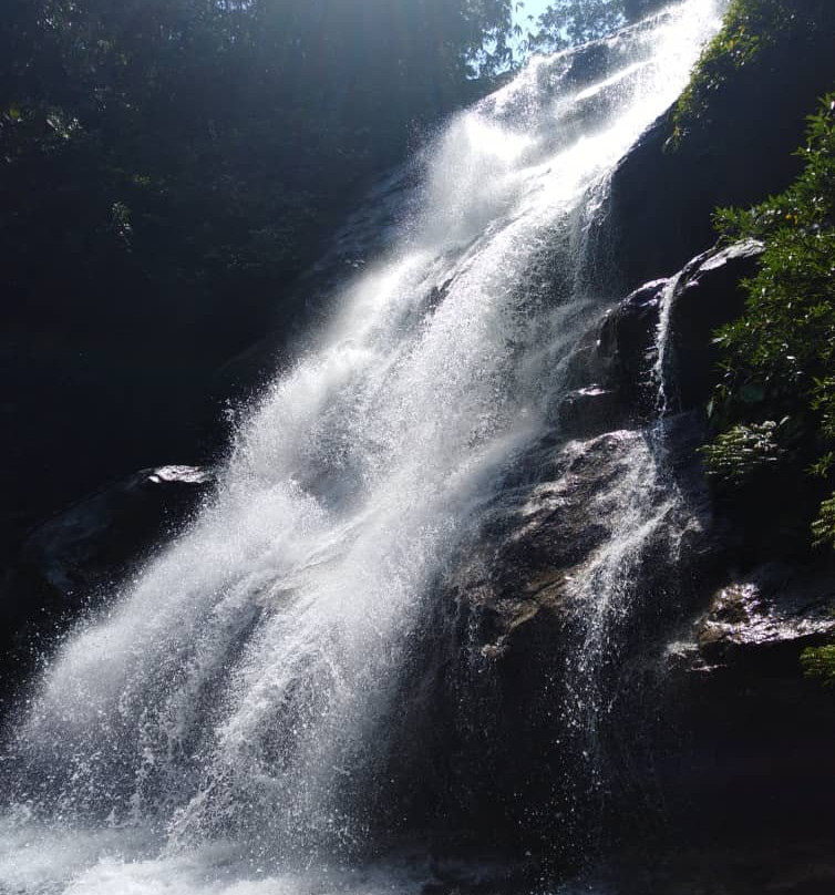 Lata Medang Waterfall景点图片