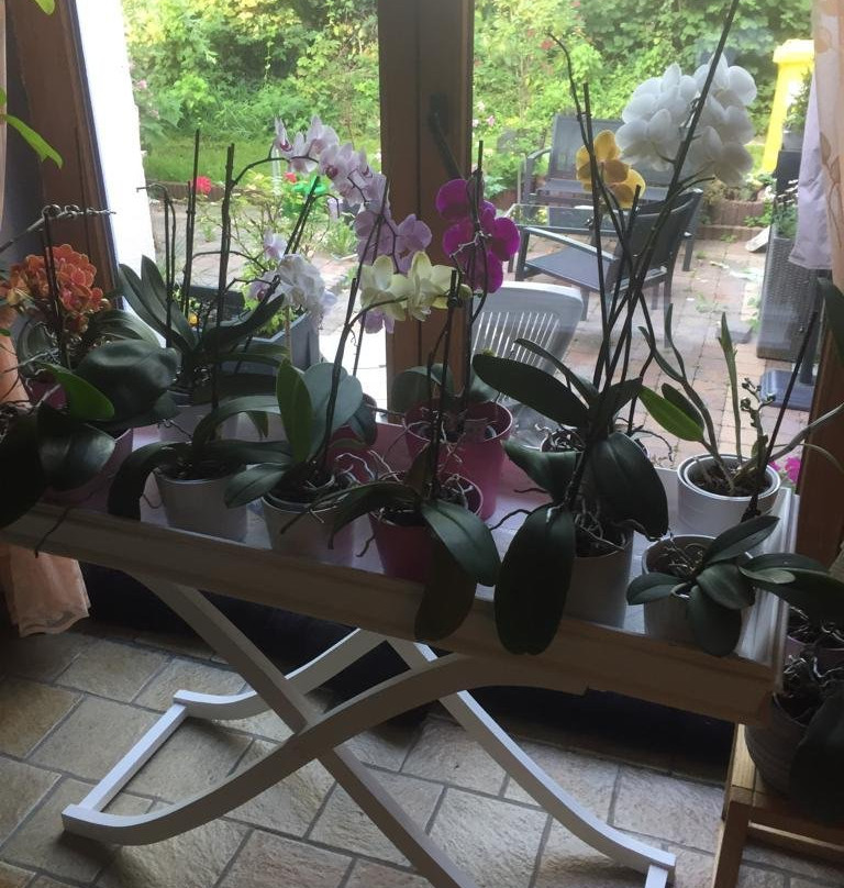 La maison de Regine主图