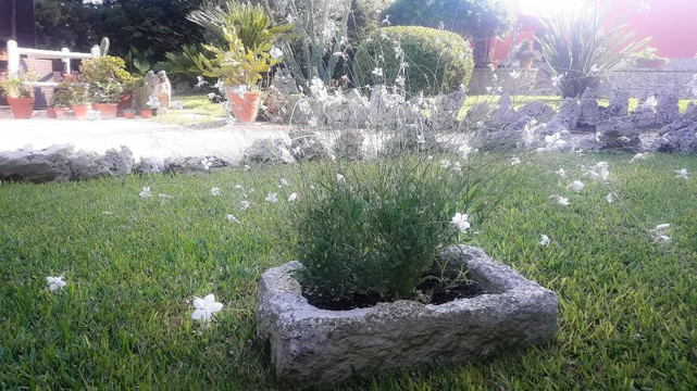 地中海的太阳主图