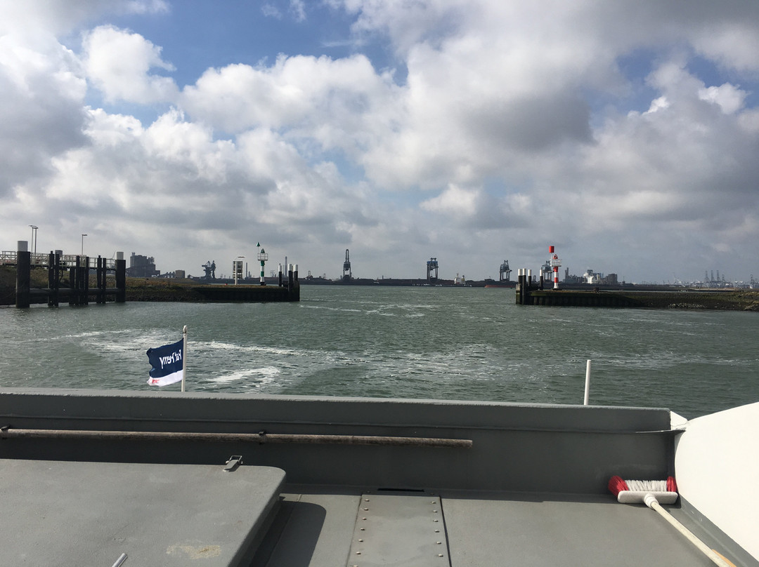 Fast Ferry harbour tours景点图片