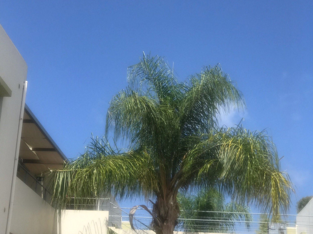 Athina Beach Hotel主图