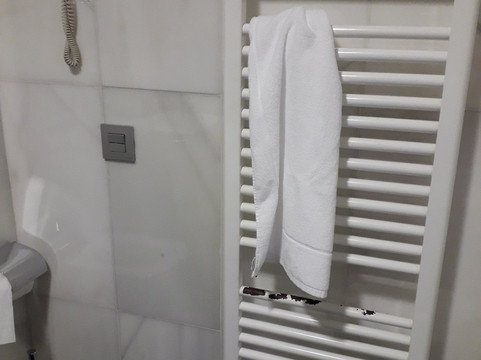 阿拉梅达中心酒店主图